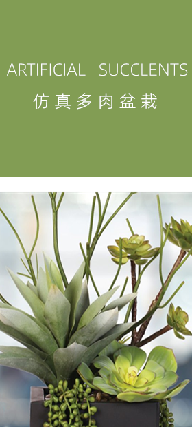 人造多肉植物 | 仿真植物批发 | 怡富工艺品厂