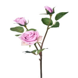 糖果色人造玫瑰手感保湿假花潘毛玫瑰绢花