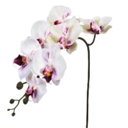 7头3D假花人造兰花家居办公室婚庆装饰人造植物